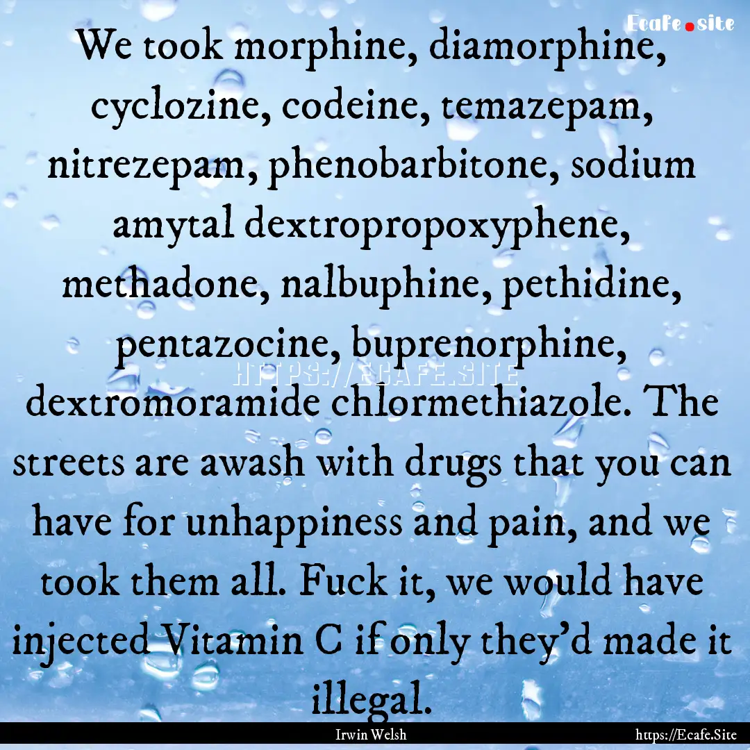 We took morphine, diamorphine, cyclozine,.... : Quote by Irwin Welsh