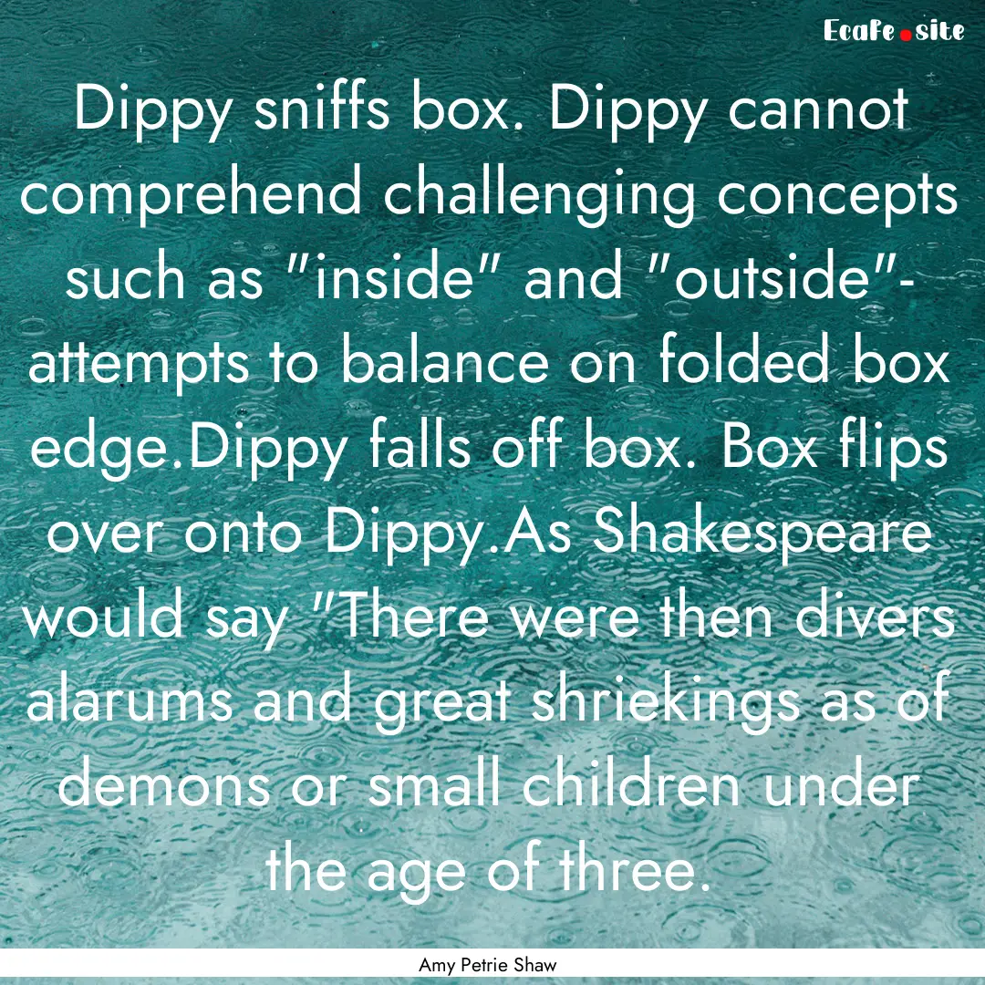 Dippy sniffs box. Dippy cannot comprehend.... : Quote by Amy Petrie Shaw