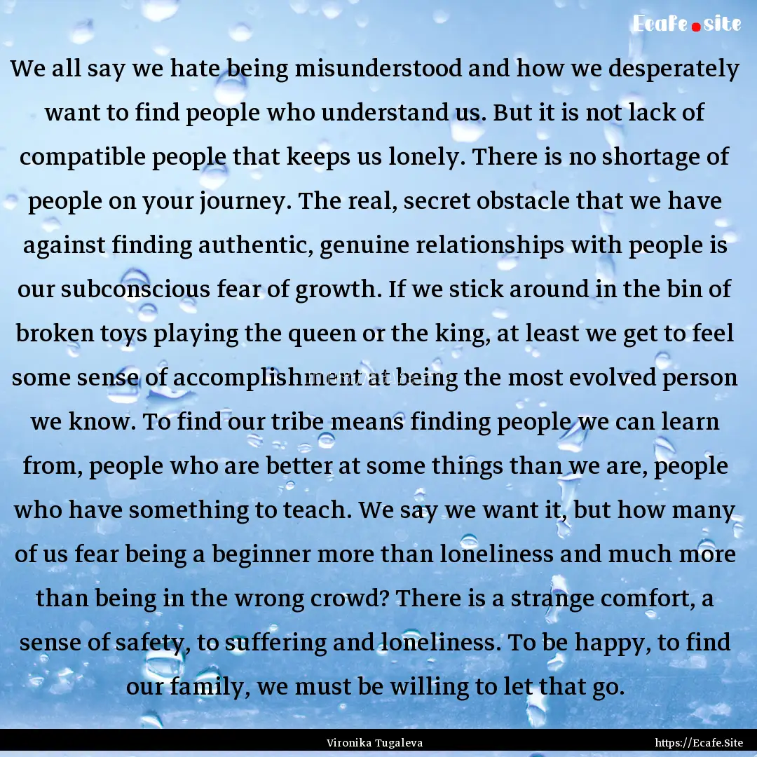 We all say we hate being misunderstood and.... : Quote by Vironika Tugaleva