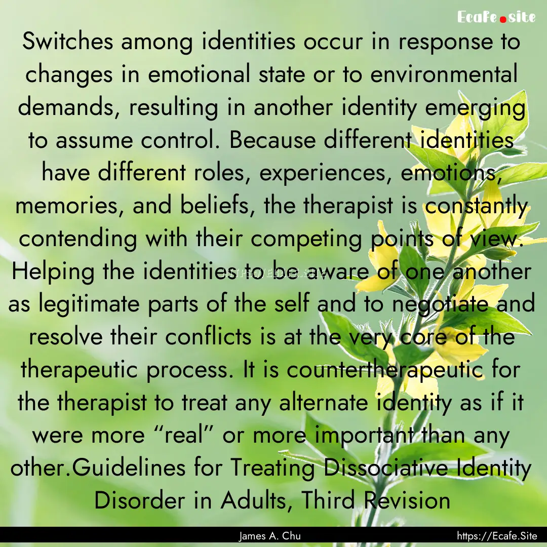 Switches among identities occur in response.... : Quote by James A. Chu