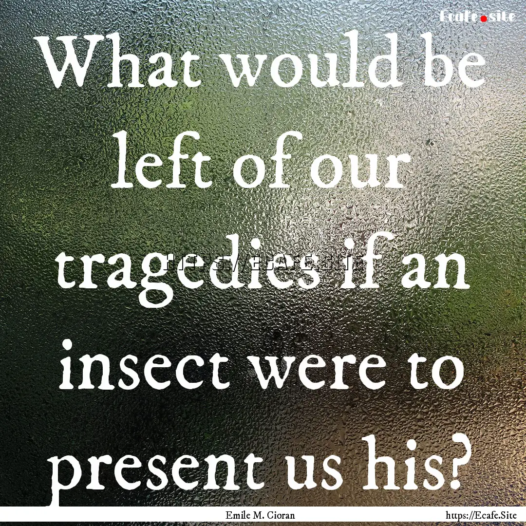 What would be left of our tragedies if an.... : Quote by Emile M. Cioran