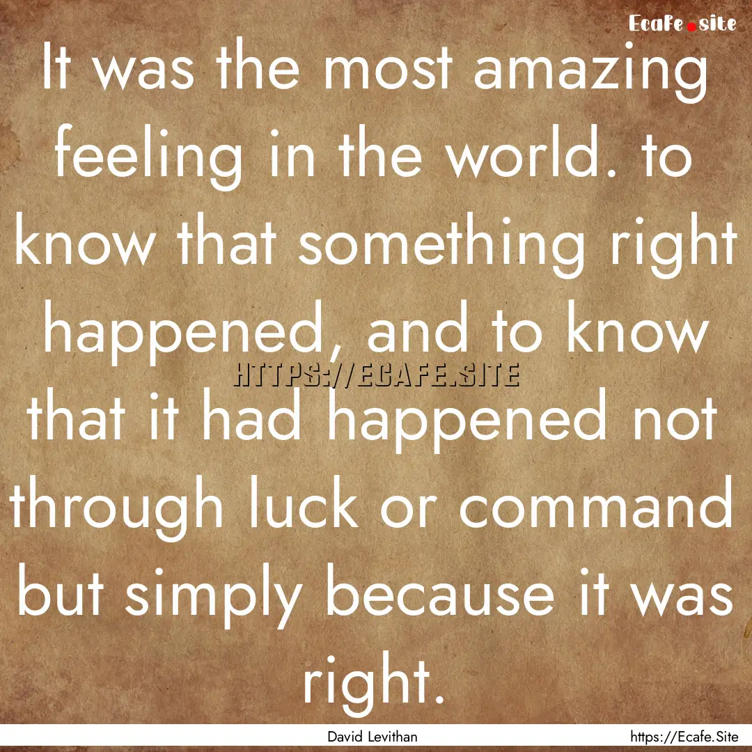 It was the most amazing feeling in the world..... : Quote by David Levithan