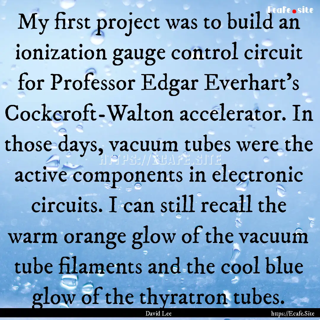 My first project was to build an ionization.... : Quote by David Lee