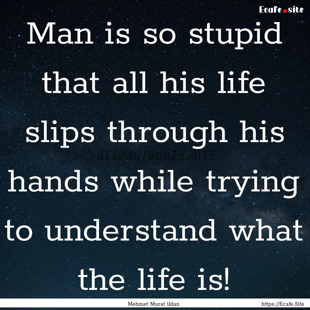 Man is so stupid that all his life slips.... : Quote by Mehmet Murat ildan