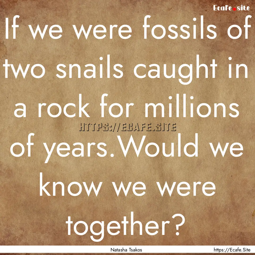 If we were fossils of two snails caught in.... : Quote by Natasha Tsakos