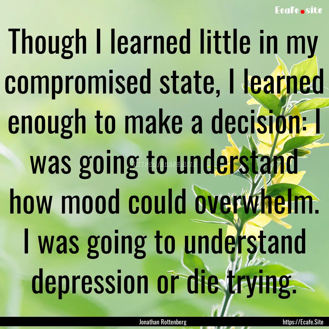 Though I learned little in my compromised.... : Quote by Jonathan Rottenberg