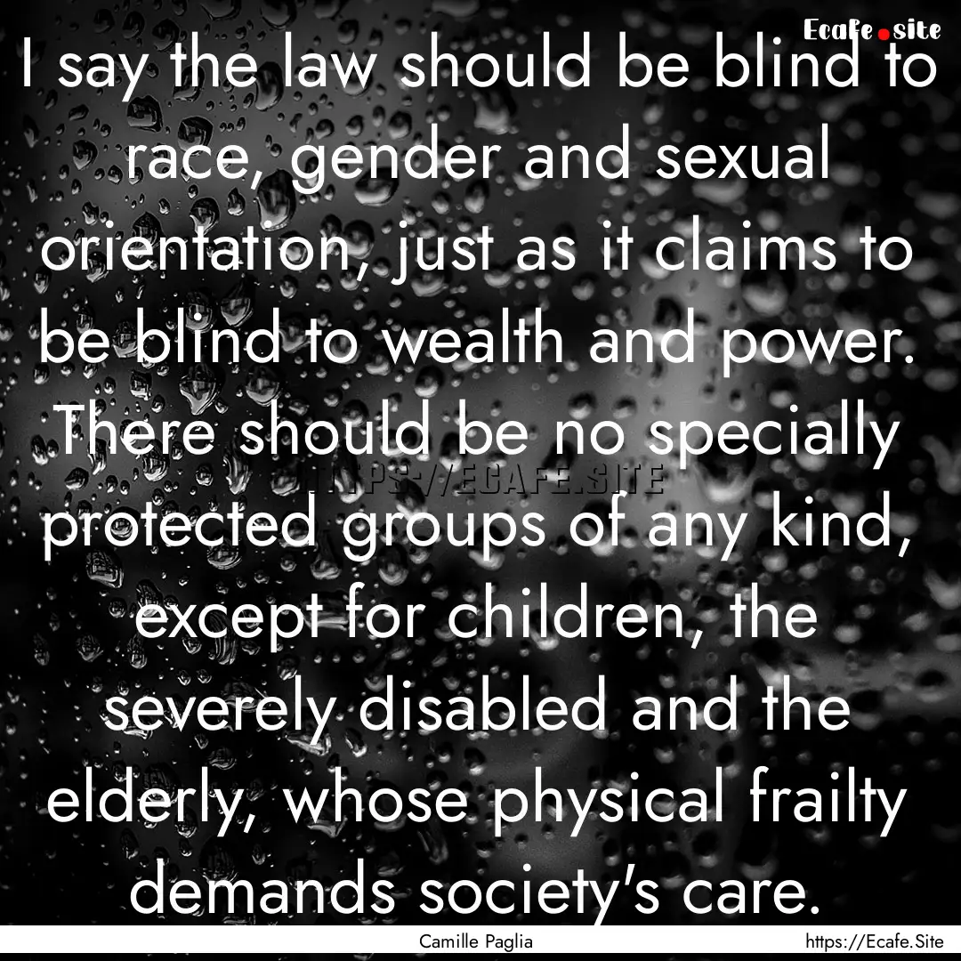 I say the law should be blind to race, gender.... : Quote by Camille Paglia