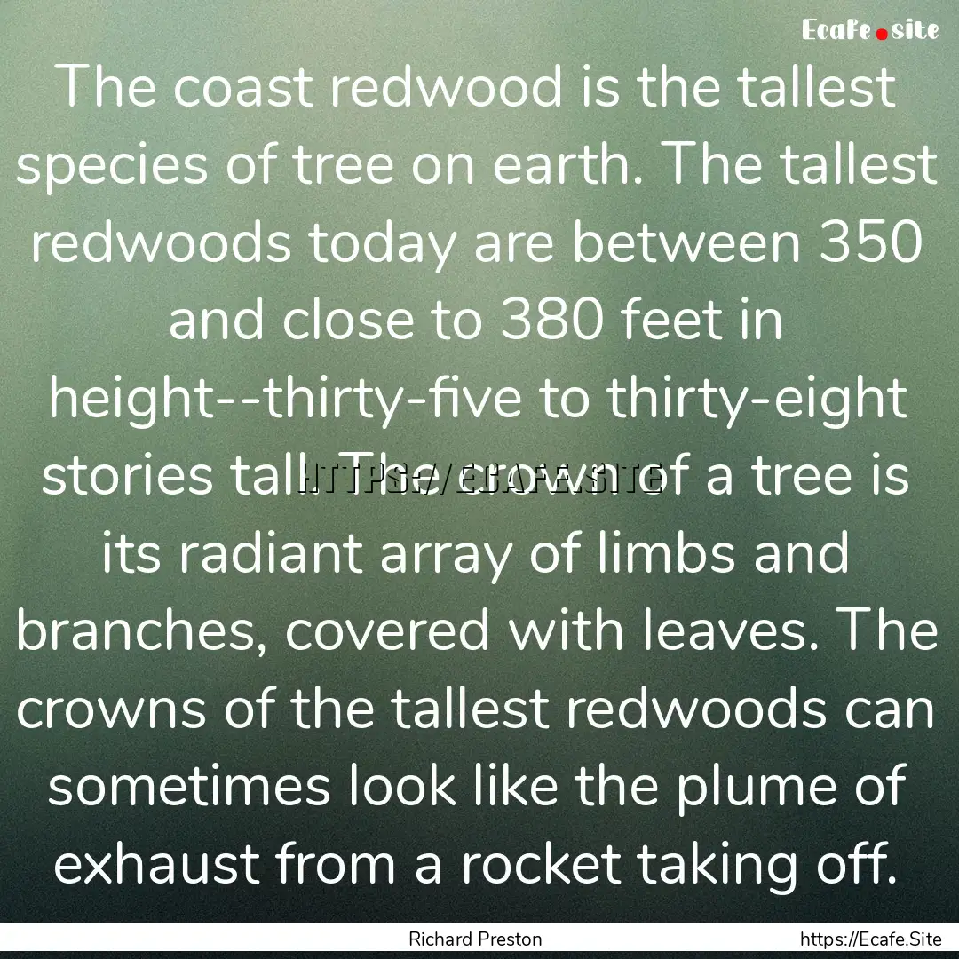 The coast redwood is the tallest species.... : Quote by Richard Preston