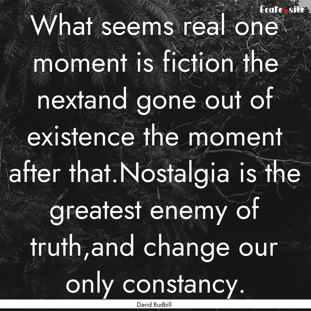 What seems real one moment is fiction the.... : Quote by David Budbill