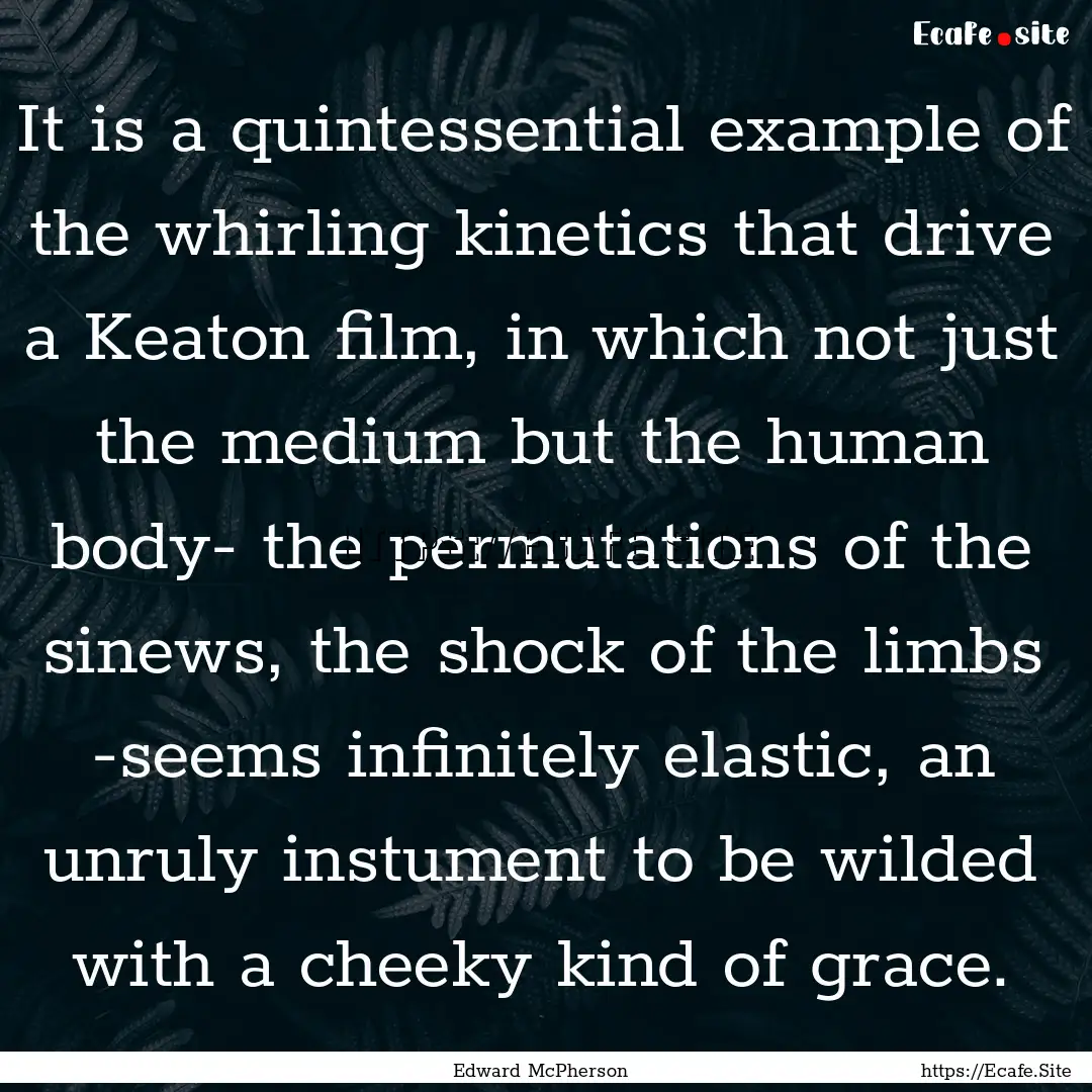 It is a quintessential example of the whirling.... : Quote by Edward McPherson