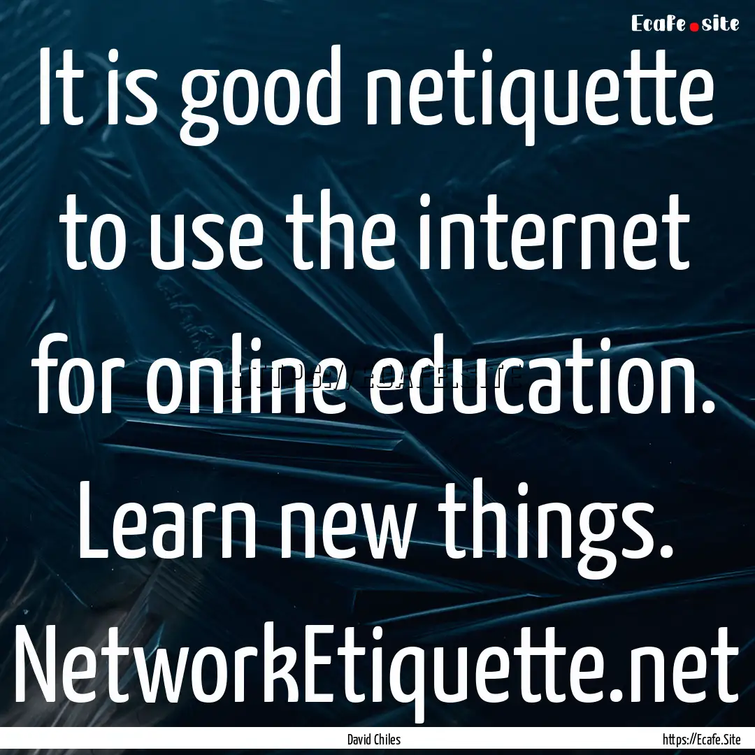 It is good netiquette to use the internet.... : Quote by David Chiles