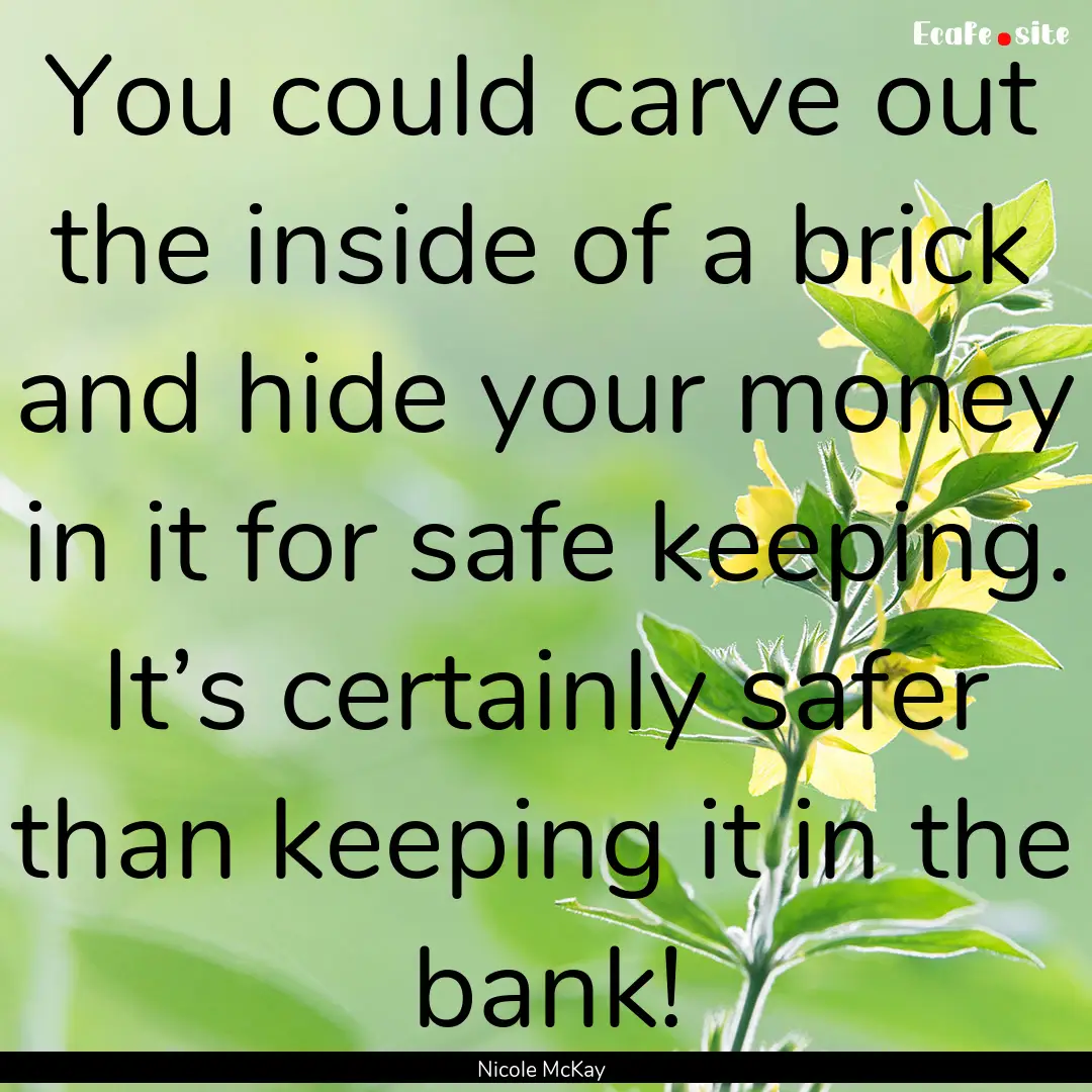 You could carve out the inside of a brick.... : Quote by Nicole McKay