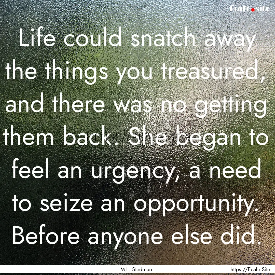 Life could snatch away the things you treasured,.... : Quote by M.L. Stedman