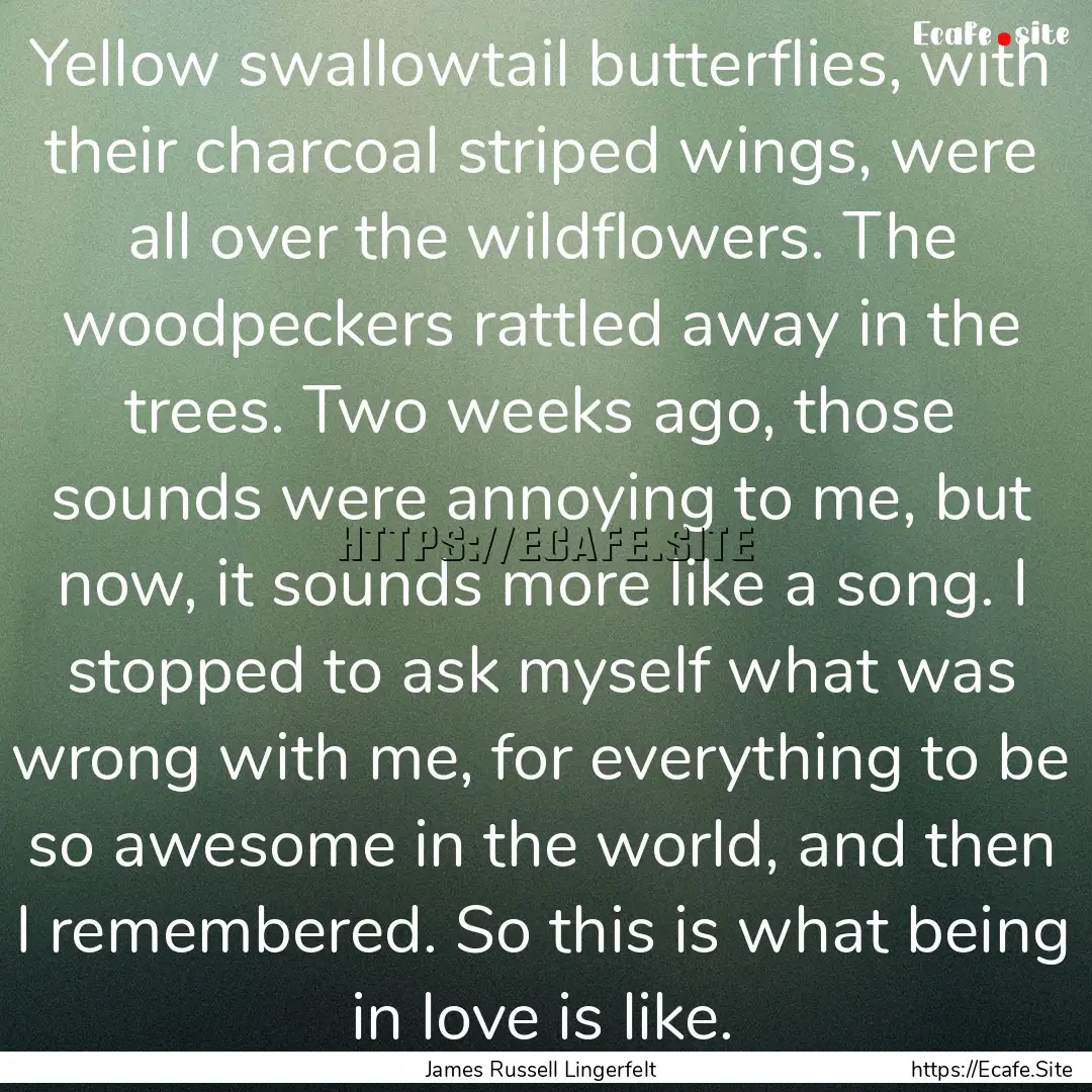 Yellow swallowtail butterflies, with their.... : Quote by James Russell Lingerfelt