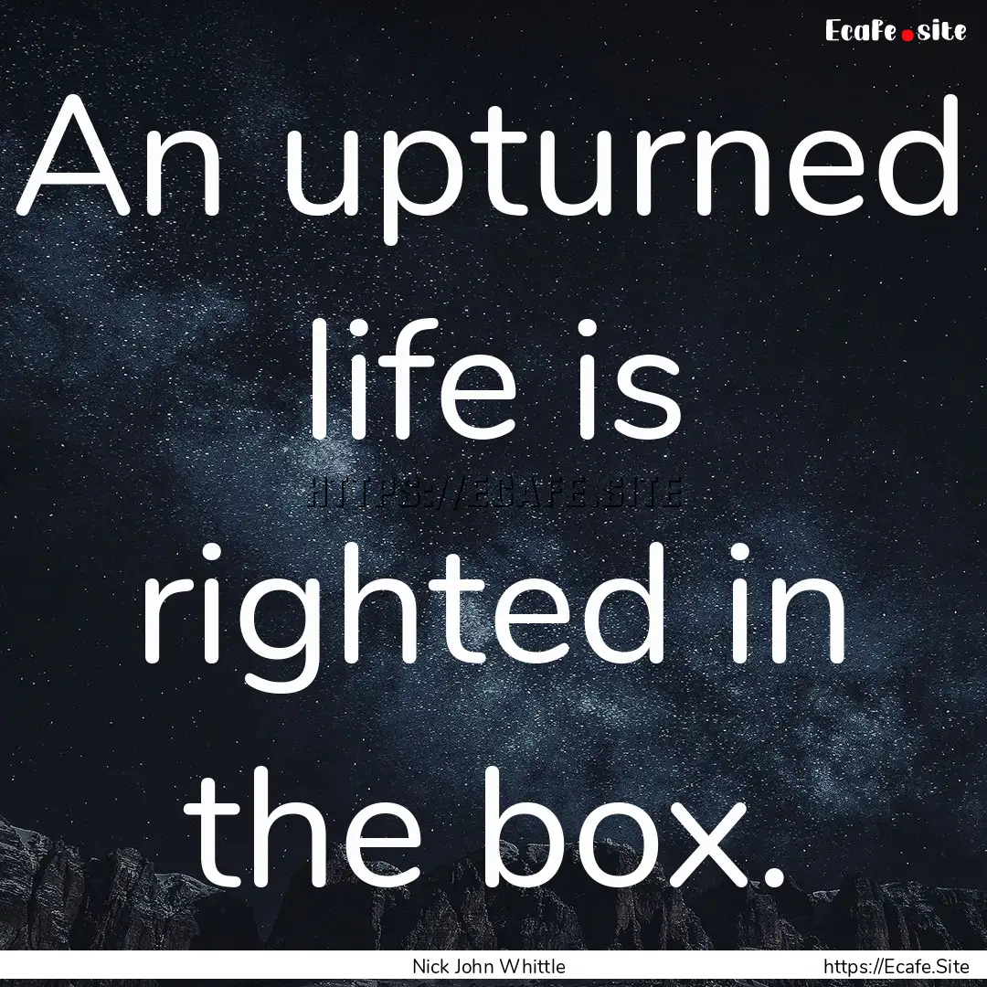 An upturned life is righted in the box. : Quote by Nick John Whittle