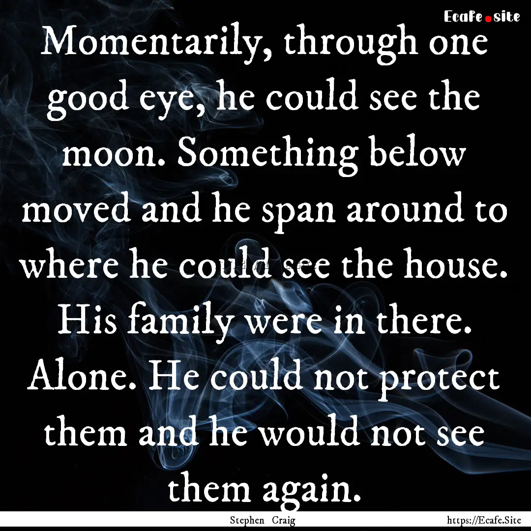 Momentarily, through one good eye, he could.... : Quote by Stephen Craig