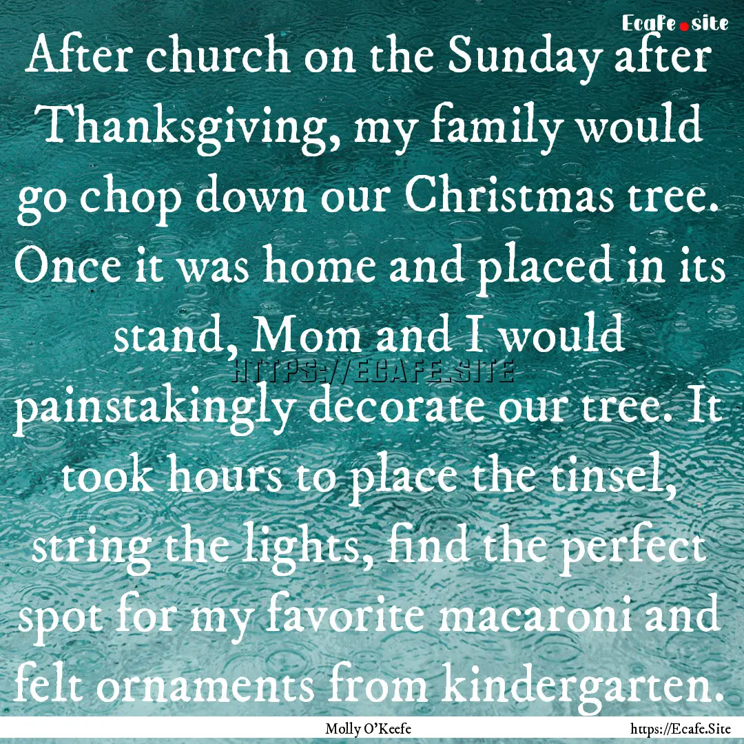 After church on the Sunday after Thanksgiving,.... : Quote by Molly O'Keefe