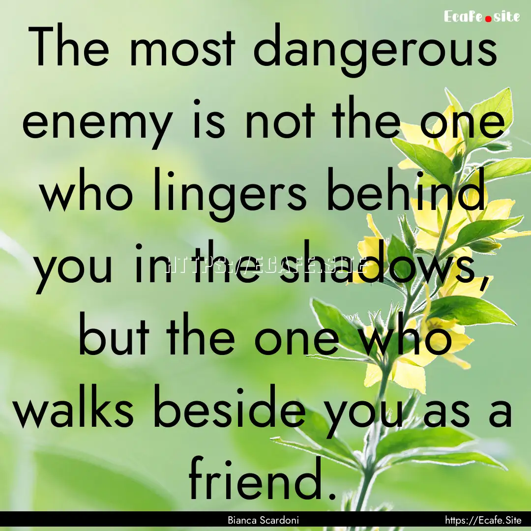 The most dangerous enemy is not the one who.... : Quote by Bianca Scardoni