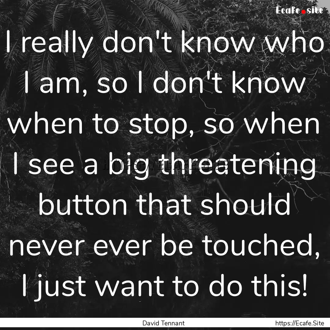 I really don't know who I am, so I don't.... : Quote by David Tennant