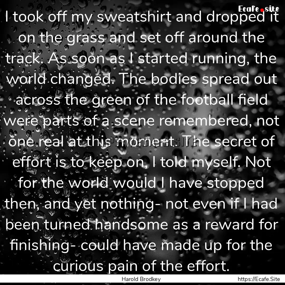 I took off my sweatshirt and dropped it on.... : Quote by Harold Brodkey