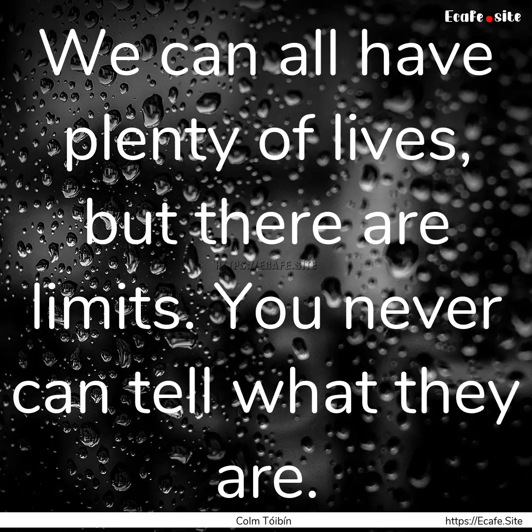 We can all have plenty of lives, but there.... : Quote by Colm Tóibín