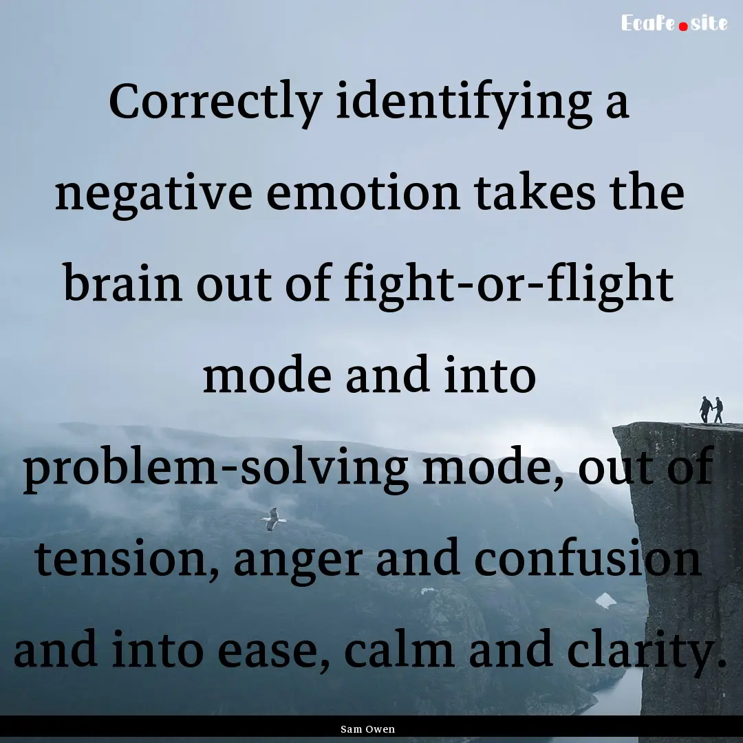 Correctly identifying a negative emotion.... : Quote by Sam Owen