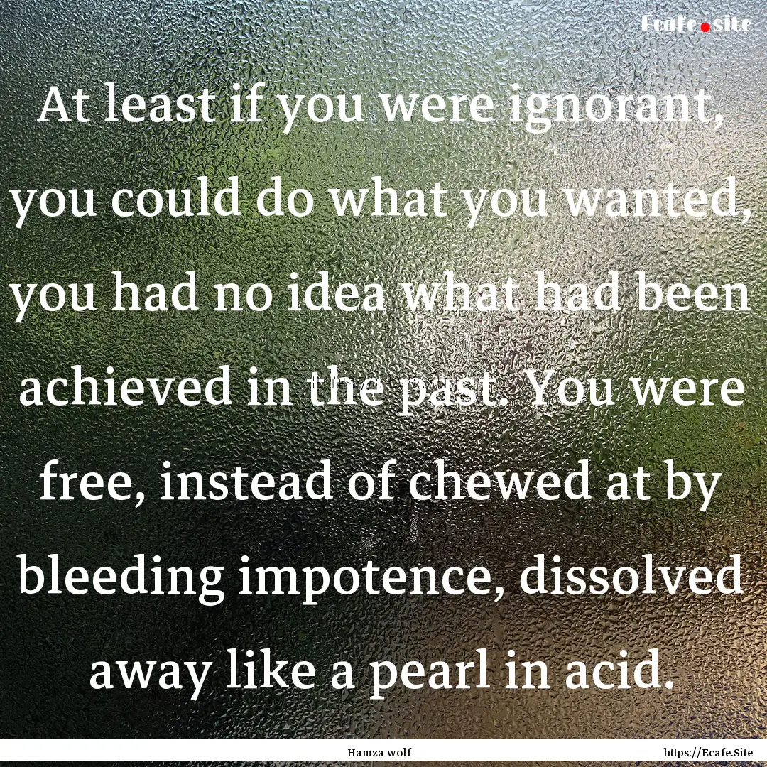 At least if you were ignorant, you could.... : Quote by Hamza wolf