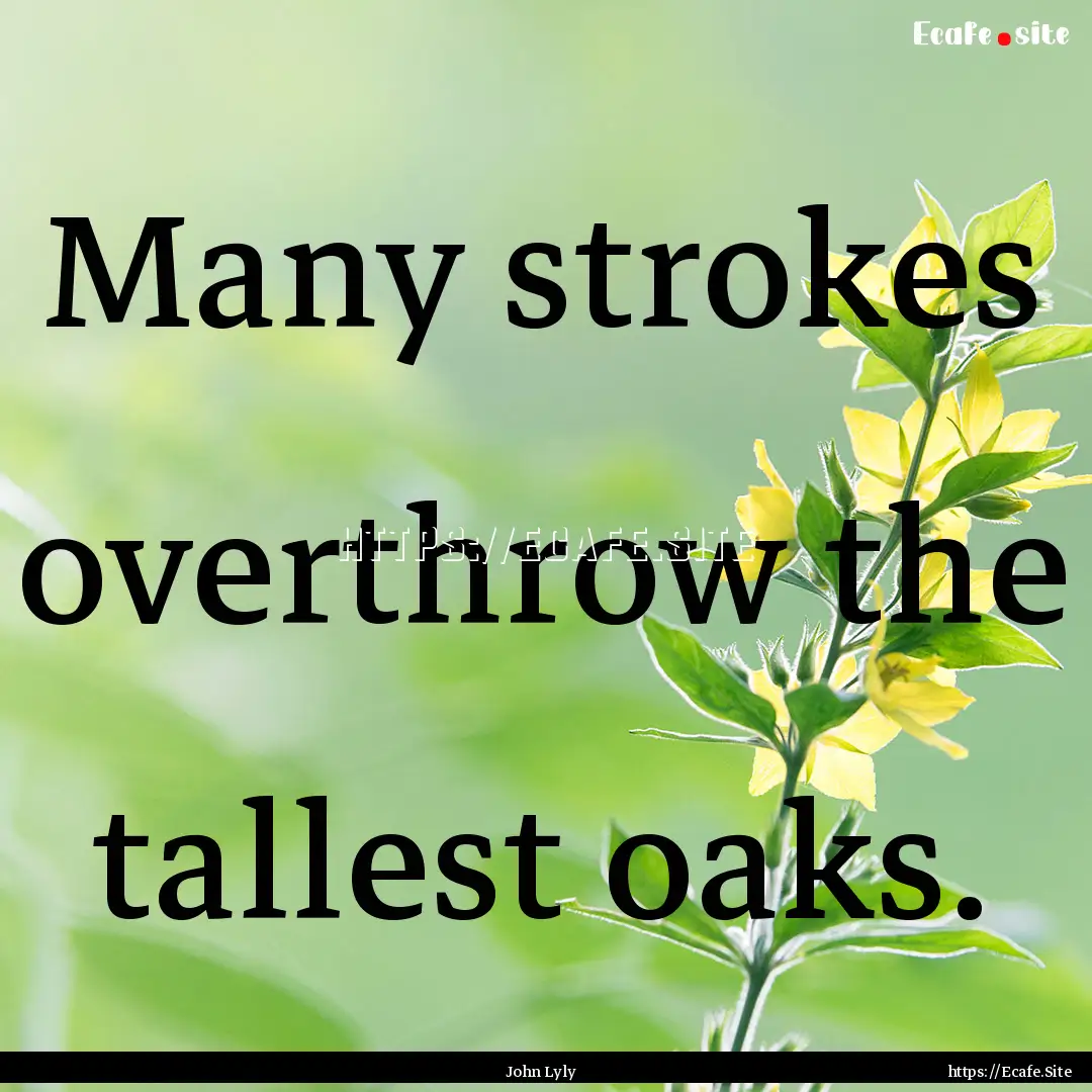 Many strokes overthrow the tallest oaks. : Quote by John Lyly