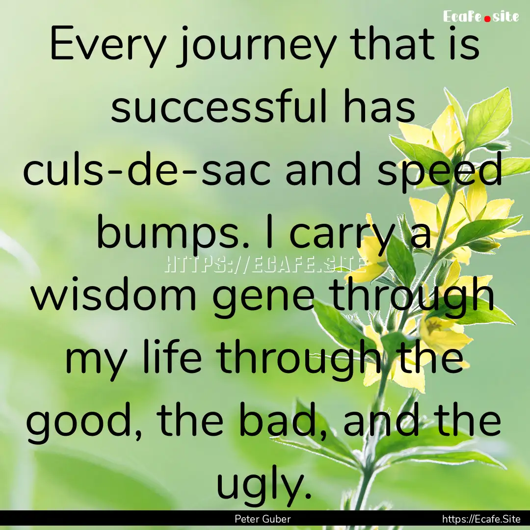 Every journey that is successful has culs-de-sac.... : Quote by Peter Guber