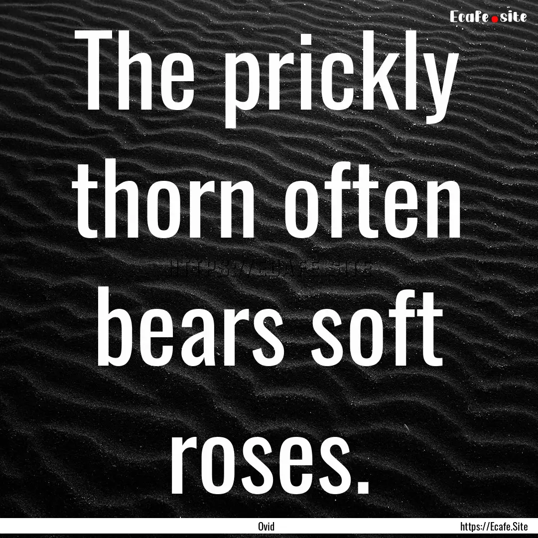 The prickly thorn often bears soft roses..... : Quote by Ovid