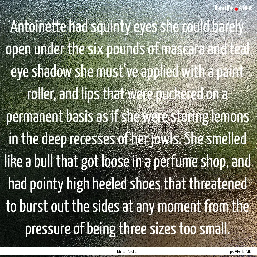 Antoinette had squinty eyes she could barely.... : Quote by Nicole Castle