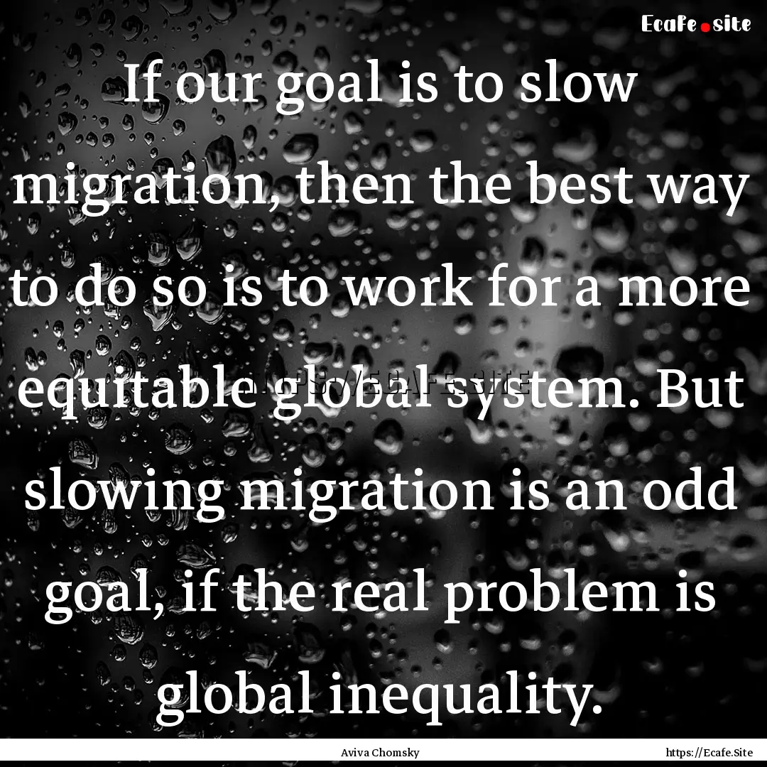 If our goal is to slow migration, then the.... : Quote by Aviva Chomsky