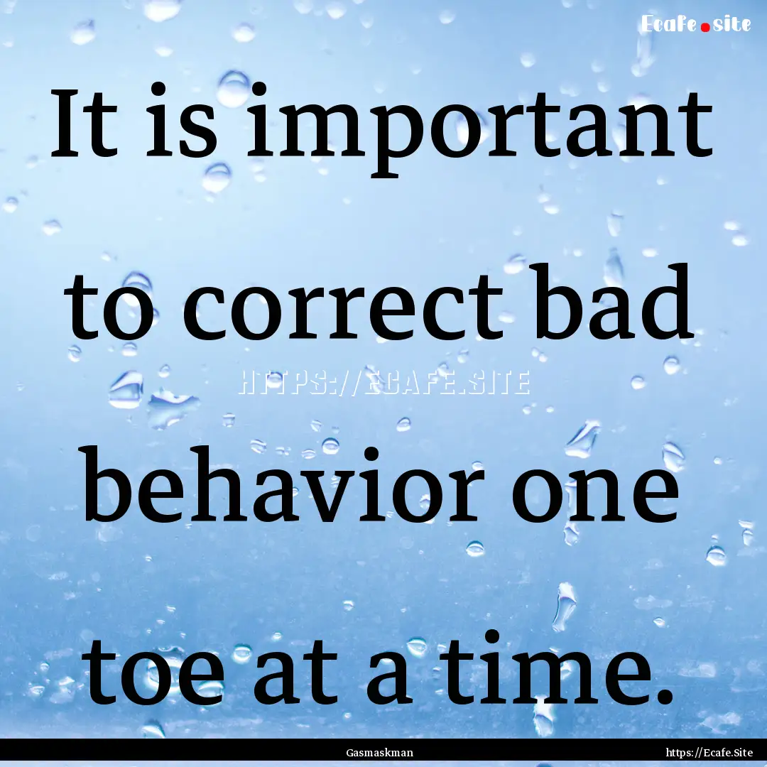 It is important to correct bad behavior one.... : Quote by Gasmaskman