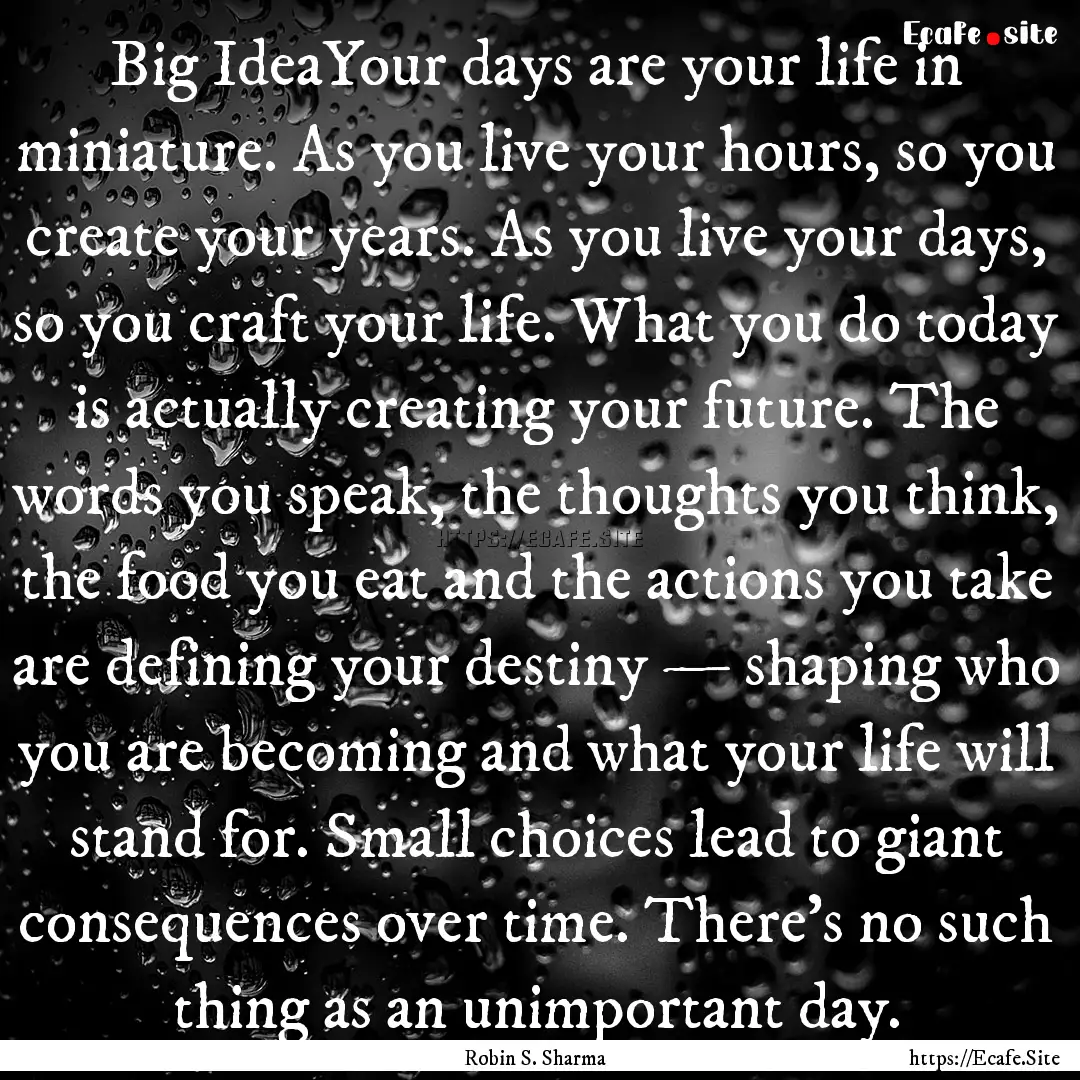 Big IdeaYour days are your life in miniature..... : Quote by Robin S. Sharma