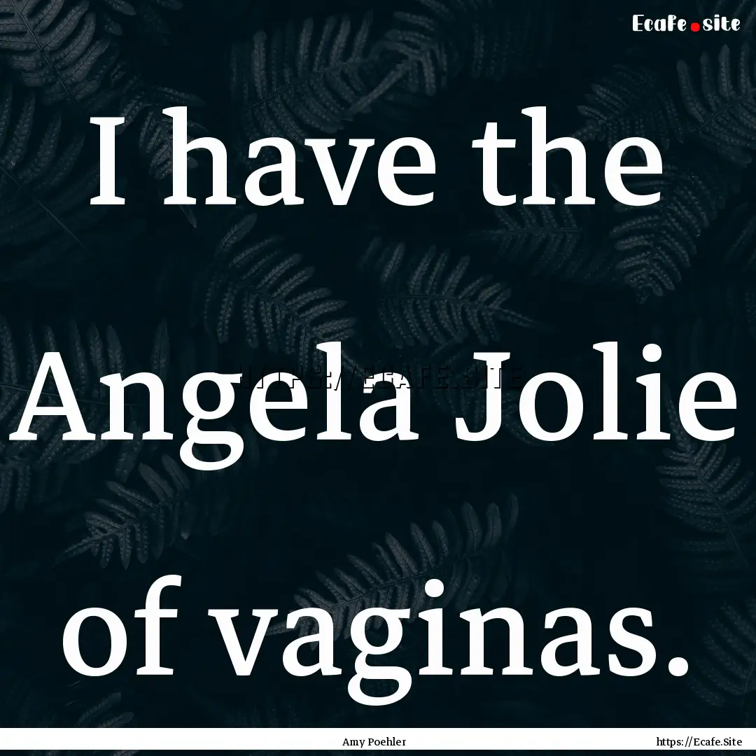 I have the Angela Jolie of vaginas. : Quote by Amy Poehler