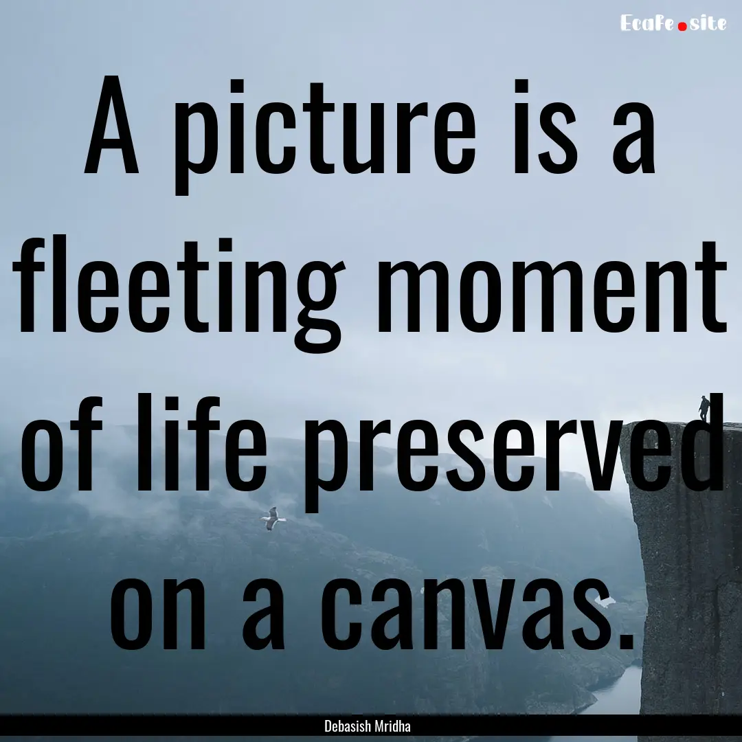 A picture is a fleeting moment of life preserved.... : Quote by Debasish Mridha