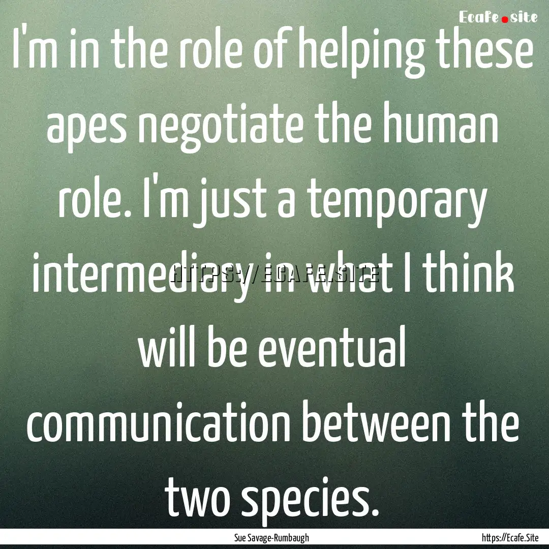 I'm in the role of helping these apes negotiate.... : Quote by Sue Savage-Rumbaugh