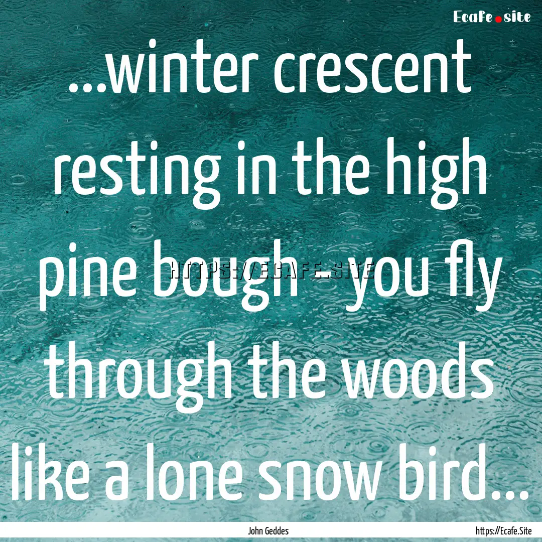 ...winter crescent resting in the high pine.... : Quote by John Geddes