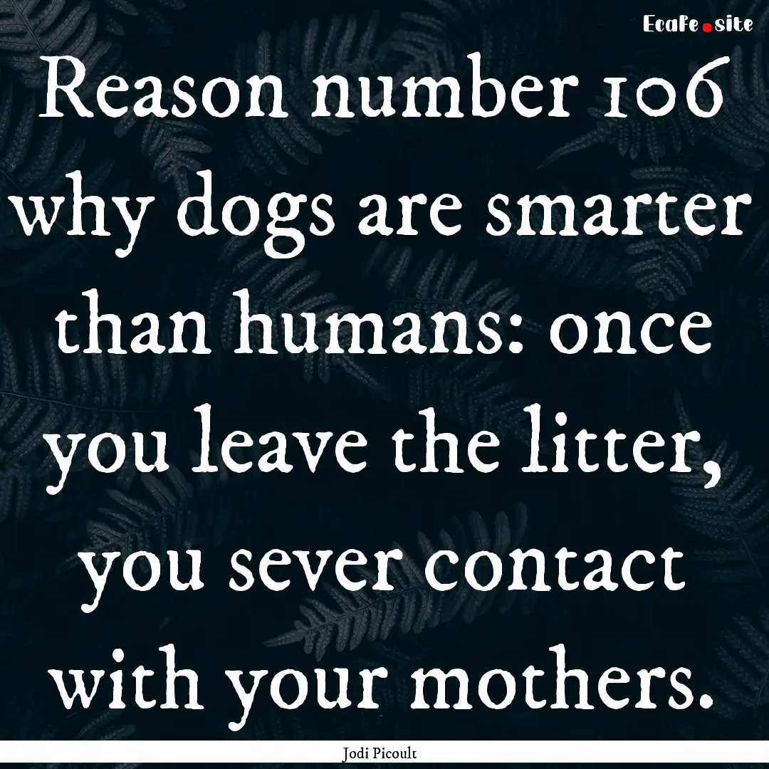 Reason number 106 why dogs are smarter than.... : Quote by Jodi Picoult