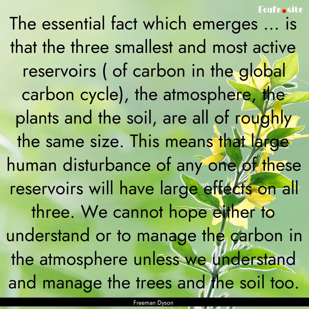 The essential fact which emerges ... is that.... : Quote by Freeman Dyson