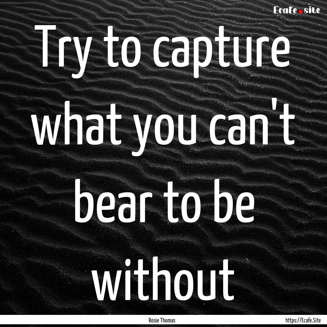 Try to capture what you can't bear to be.... : Quote by Rosie Thomas