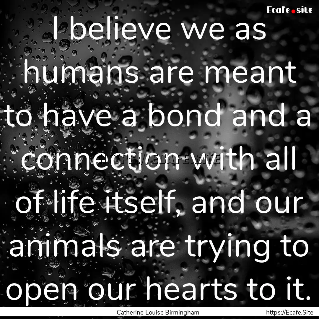 I believe we as humans are meant to have.... : Quote by Catherine Louise Birmingham