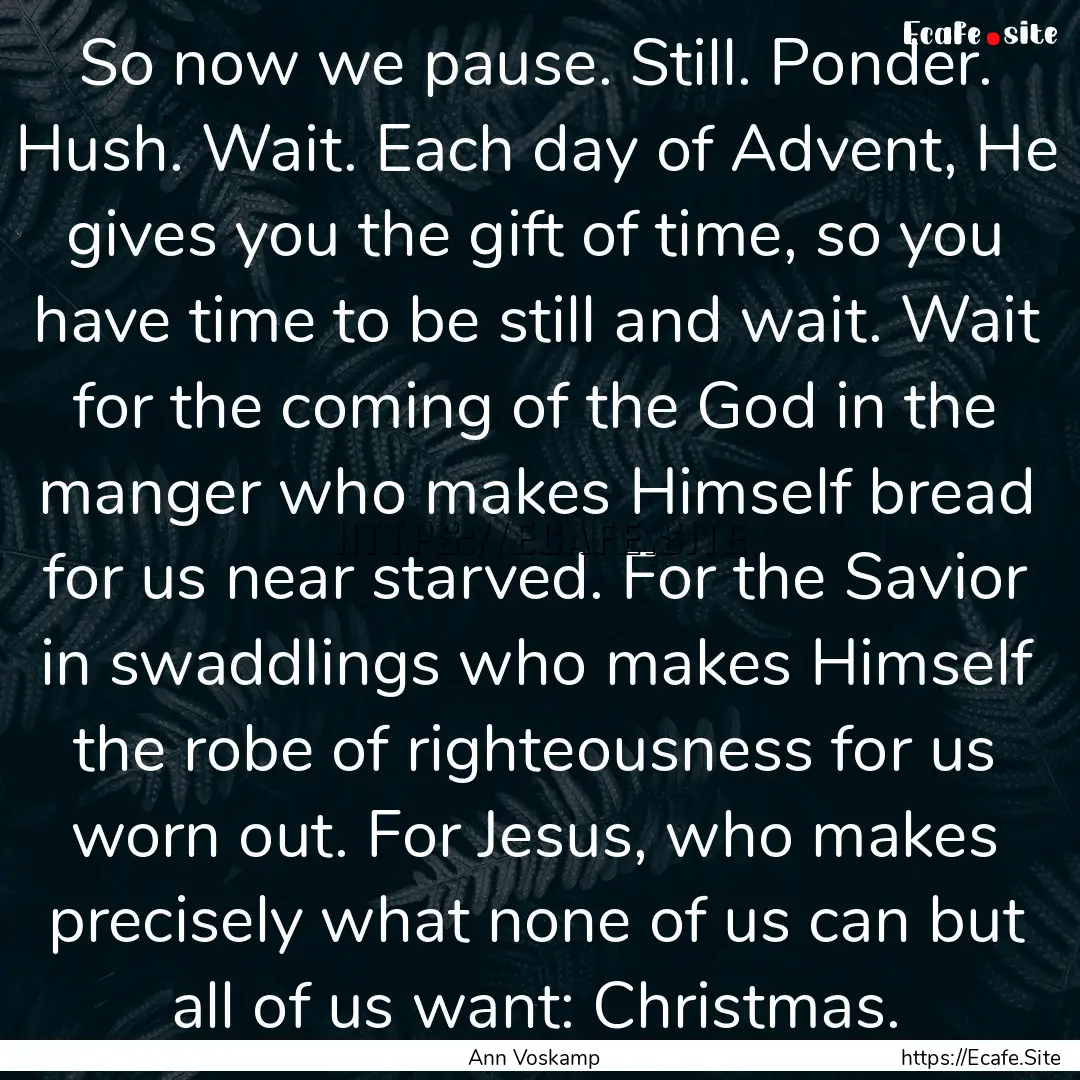 So now we pause. Still. Ponder. Hush. Wait..... : Quote by Ann Voskamp