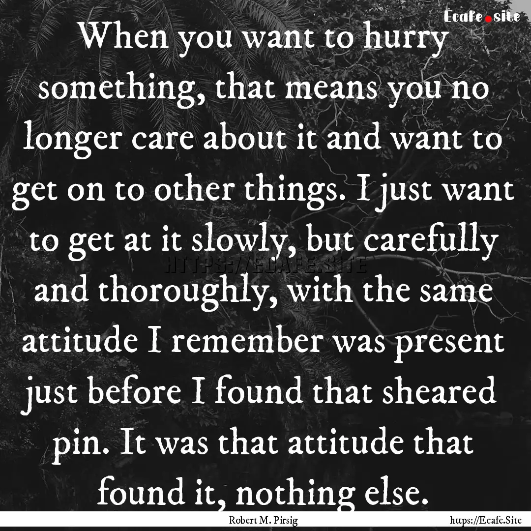 When you want to hurry something, that means.... : Quote by Robert M. Pirsig