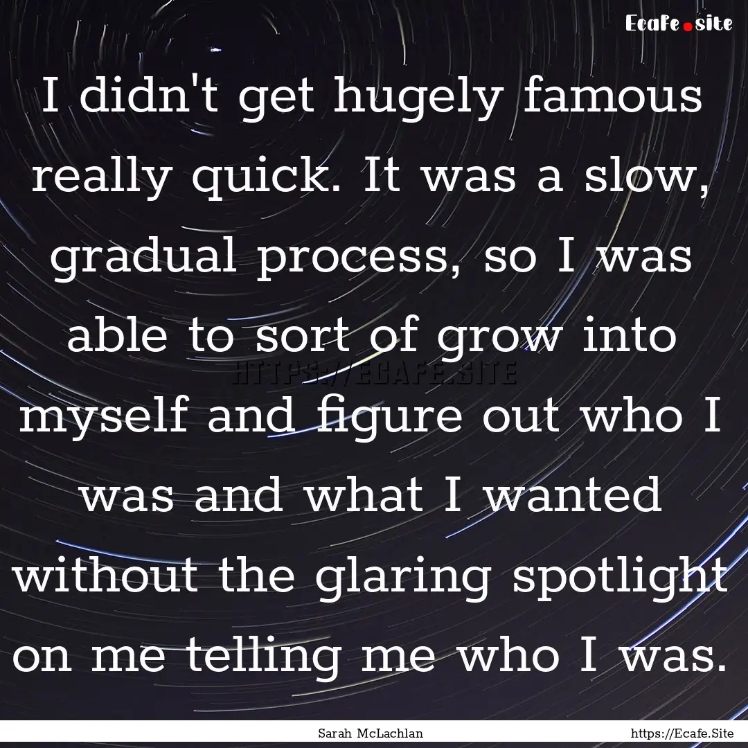 I didn't get hugely famous really quick..... : Quote by Sarah McLachlan