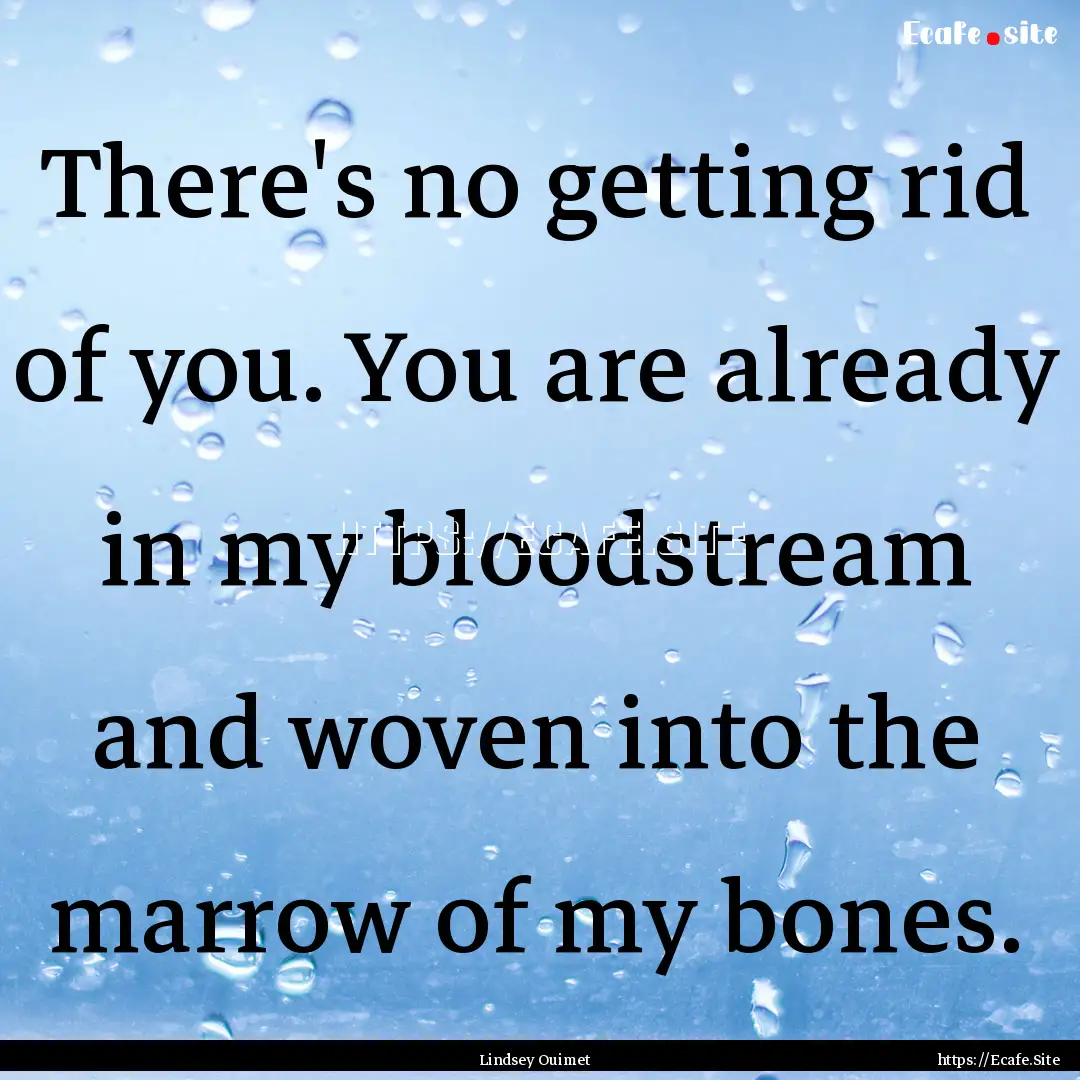 There's no getting rid of you. You are already.... : Quote by Lindsey Ouimet