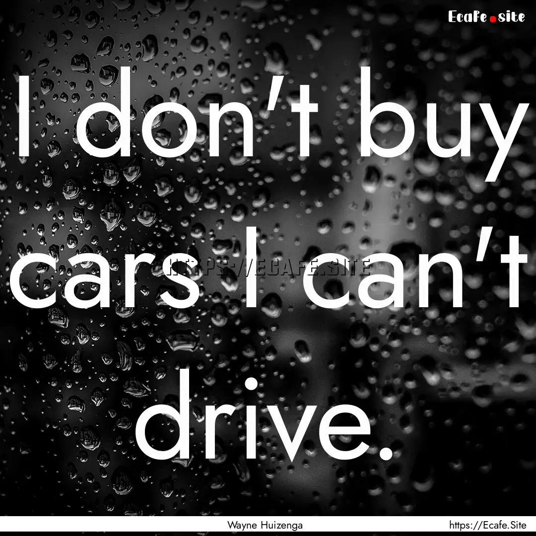 I don't buy cars I can't drive. : Quote by Wayne Huizenga