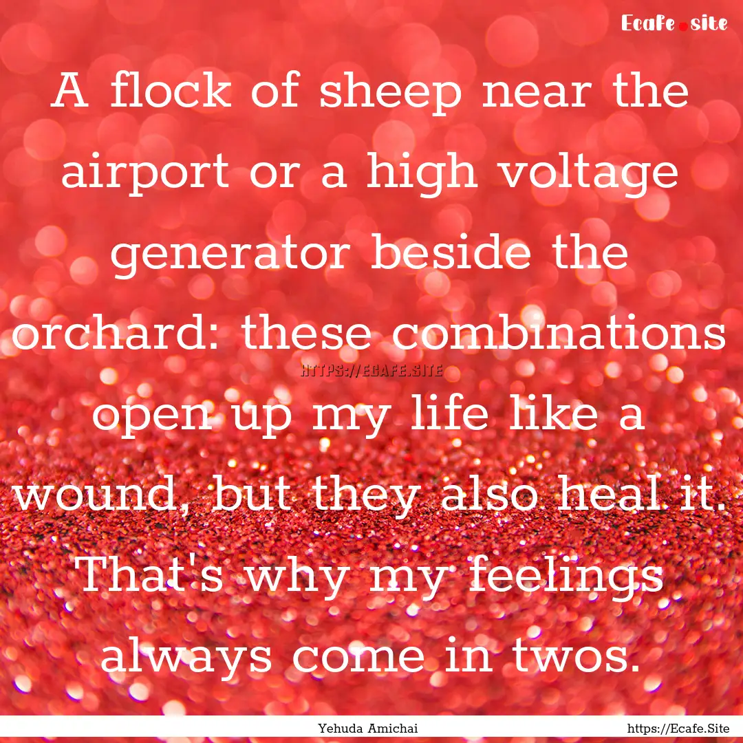 A flock of sheep near the airport or a high.... : Quote by Yehuda Amichai