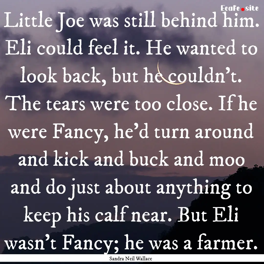 Little Joe was still behind him. Eli could.... : Quote by Sandra Neil Wallace