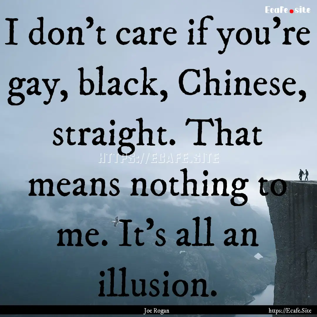 I don't care if you're gay, black, Chinese,.... : Quote by Joe Rogan